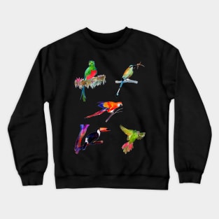 Tropical Birds - Parrot, Quetzal, Motmot, Toucan, Macaw Crewneck Sweatshirt